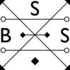 BSS_logo300